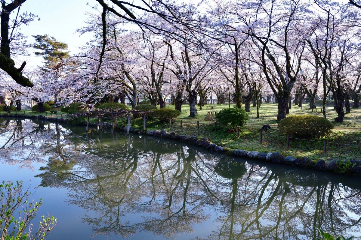 🌸 무라마쓰 공원 (村松公園) 이미지 1
